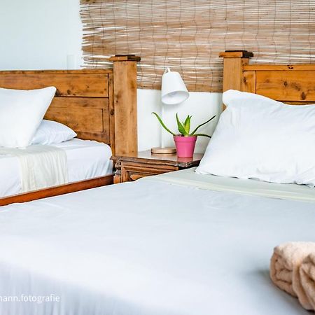 Lost In San Jose Hotel & Hostel Εξωτερικό φωτογραφία