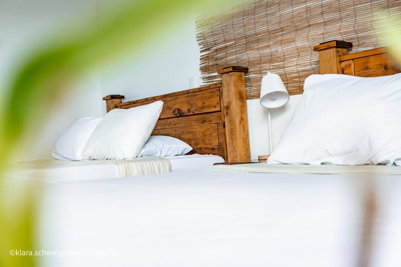Lost In San Jose Hotel & Hostel Εξωτερικό φωτογραφία