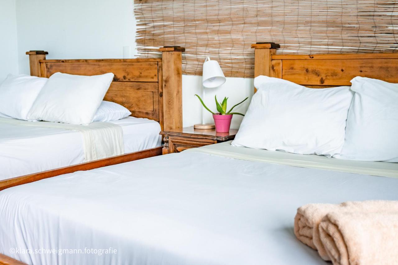 Lost In San Jose Hotel & Hostel Εξωτερικό φωτογραφία
