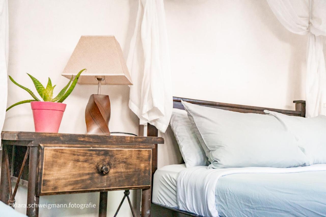 Lost In San Jose Hotel & Hostel Εξωτερικό φωτογραφία