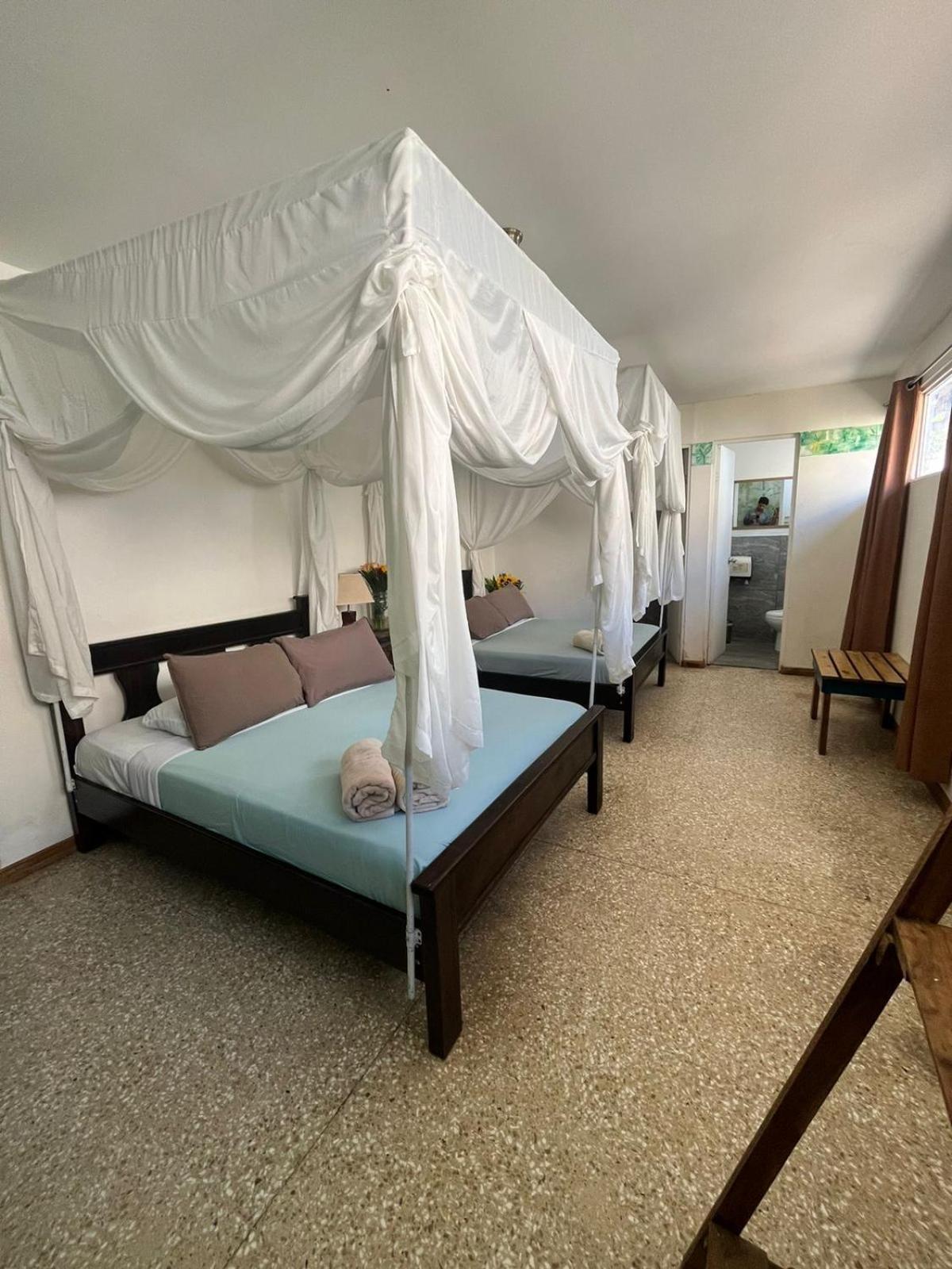 Lost In San Jose Hotel & Hostel Εξωτερικό φωτογραφία