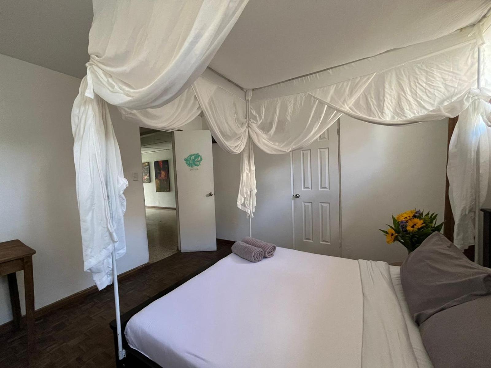 Lost In San Jose Hotel & Hostel Εξωτερικό φωτογραφία