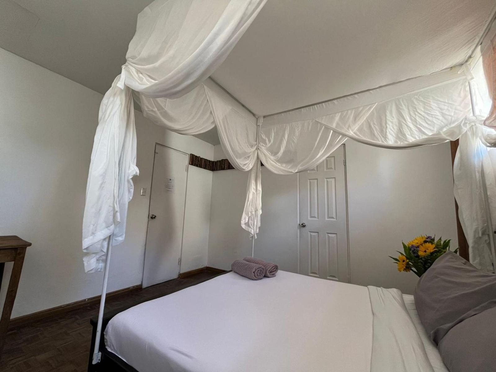 Lost In San Jose Hotel & Hostel Εξωτερικό φωτογραφία