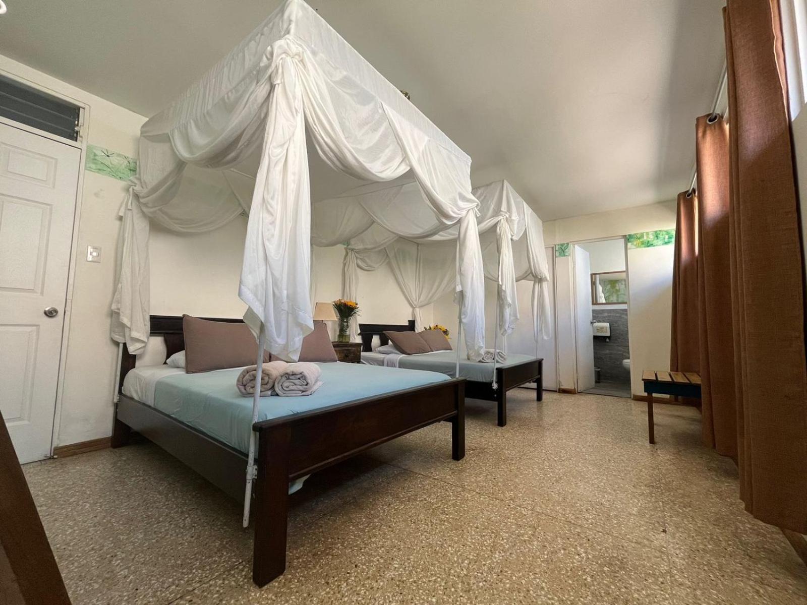 Lost In San Jose Hotel & Hostel Εξωτερικό φωτογραφία