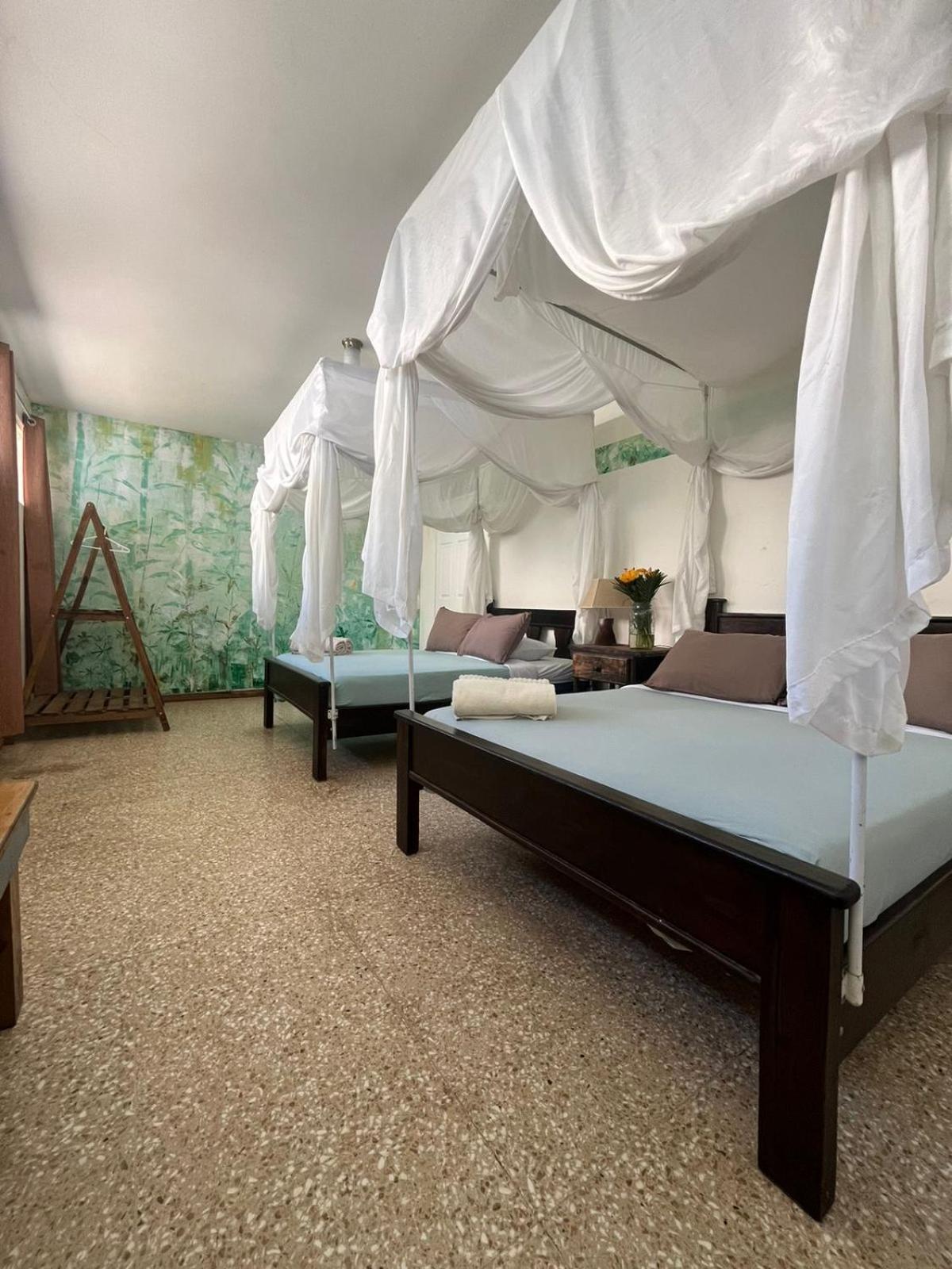 Lost In San Jose Hotel & Hostel Εξωτερικό φωτογραφία