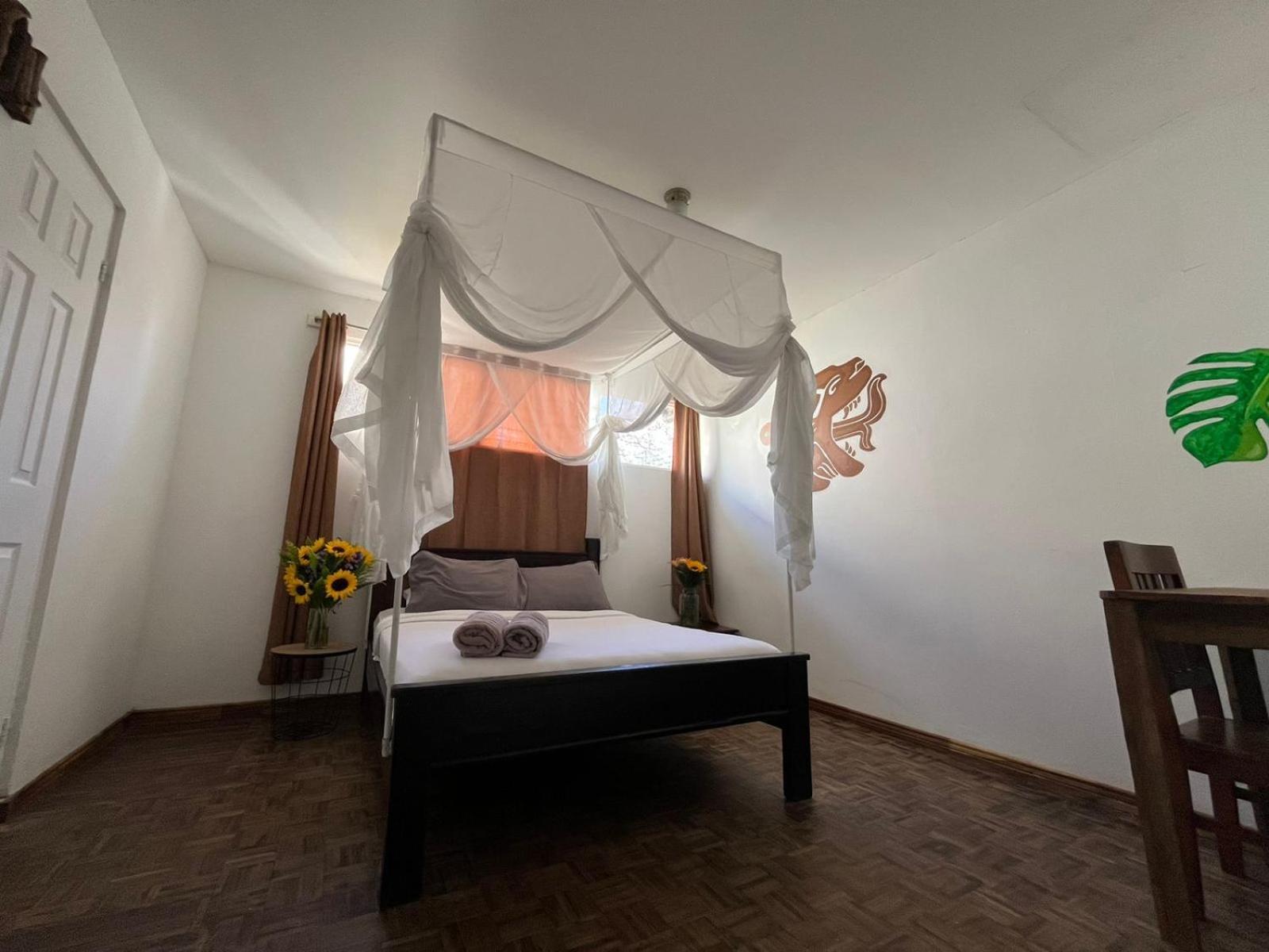 Lost In San Jose Hotel & Hostel Εξωτερικό φωτογραφία