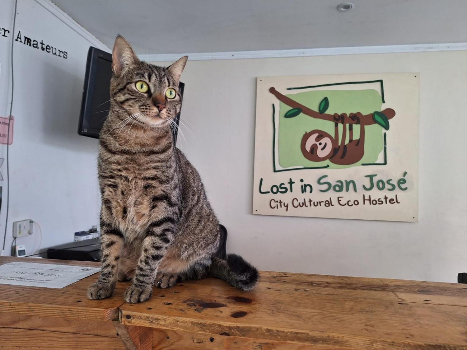 Lost In San Jose Hotel & Hostel Εξωτερικό φωτογραφία