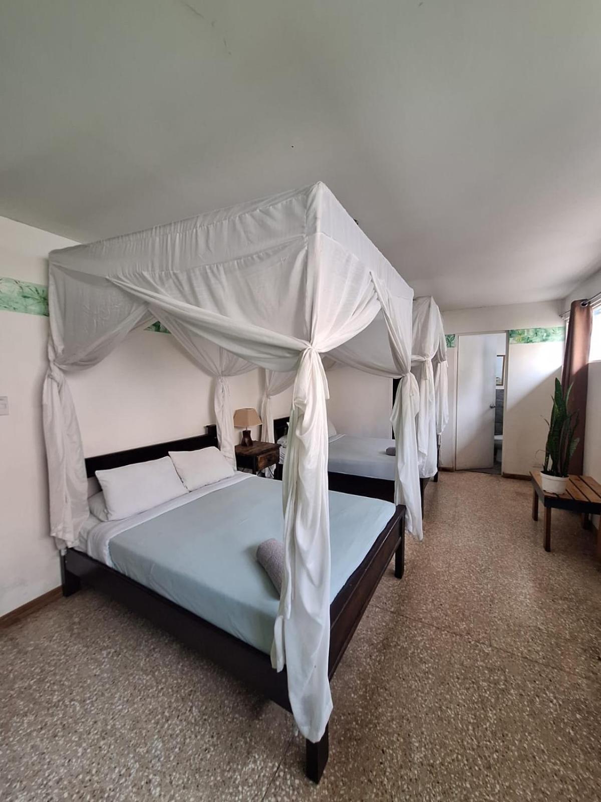Lost In San Jose Hotel & Hostel Εξωτερικό φωτογραφία