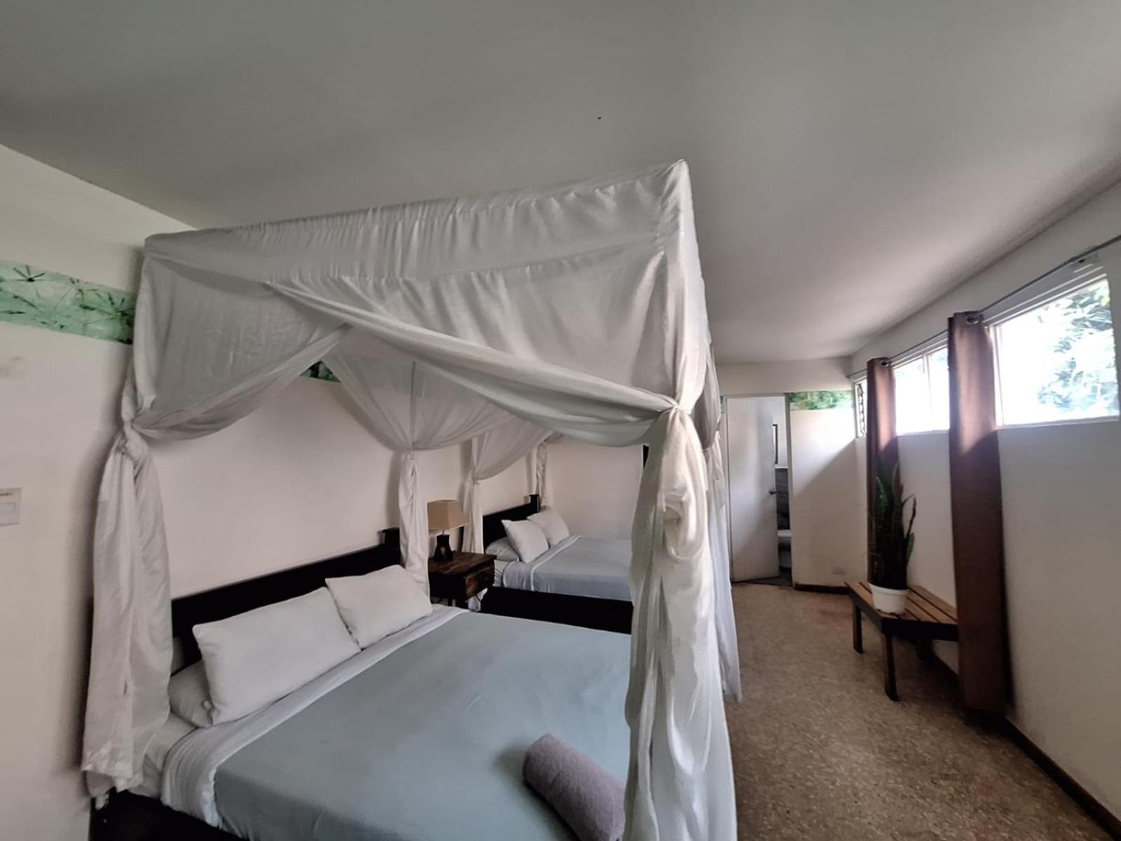 Lost In San Jose Hotel & Hostel Εξωτερικό φωτογραφία